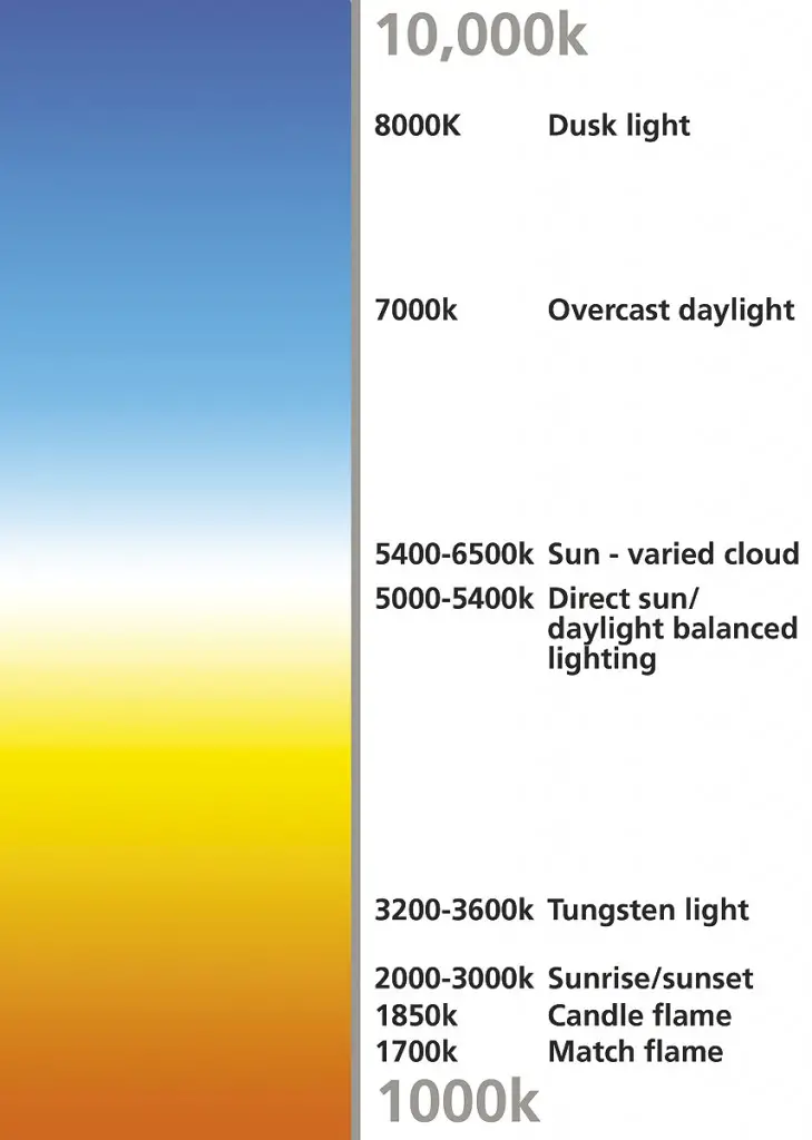 Best Headlight Bulbs, Ratings, Reviews & Buyer Guides 2022